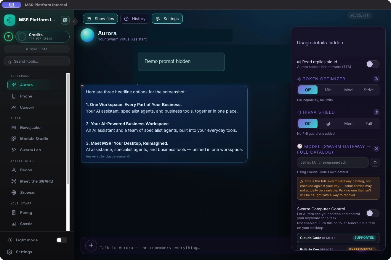 The actual token, HIPAA Shield, and model controls. The selected settings shown are from this demo session.